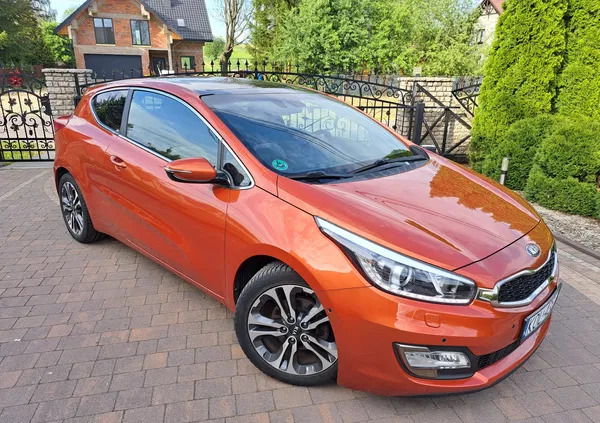 kia małopolskie Kia Pro_cee'd cena 39600 przebieg: 117000, rok produkcji 2013 z Wolbrom